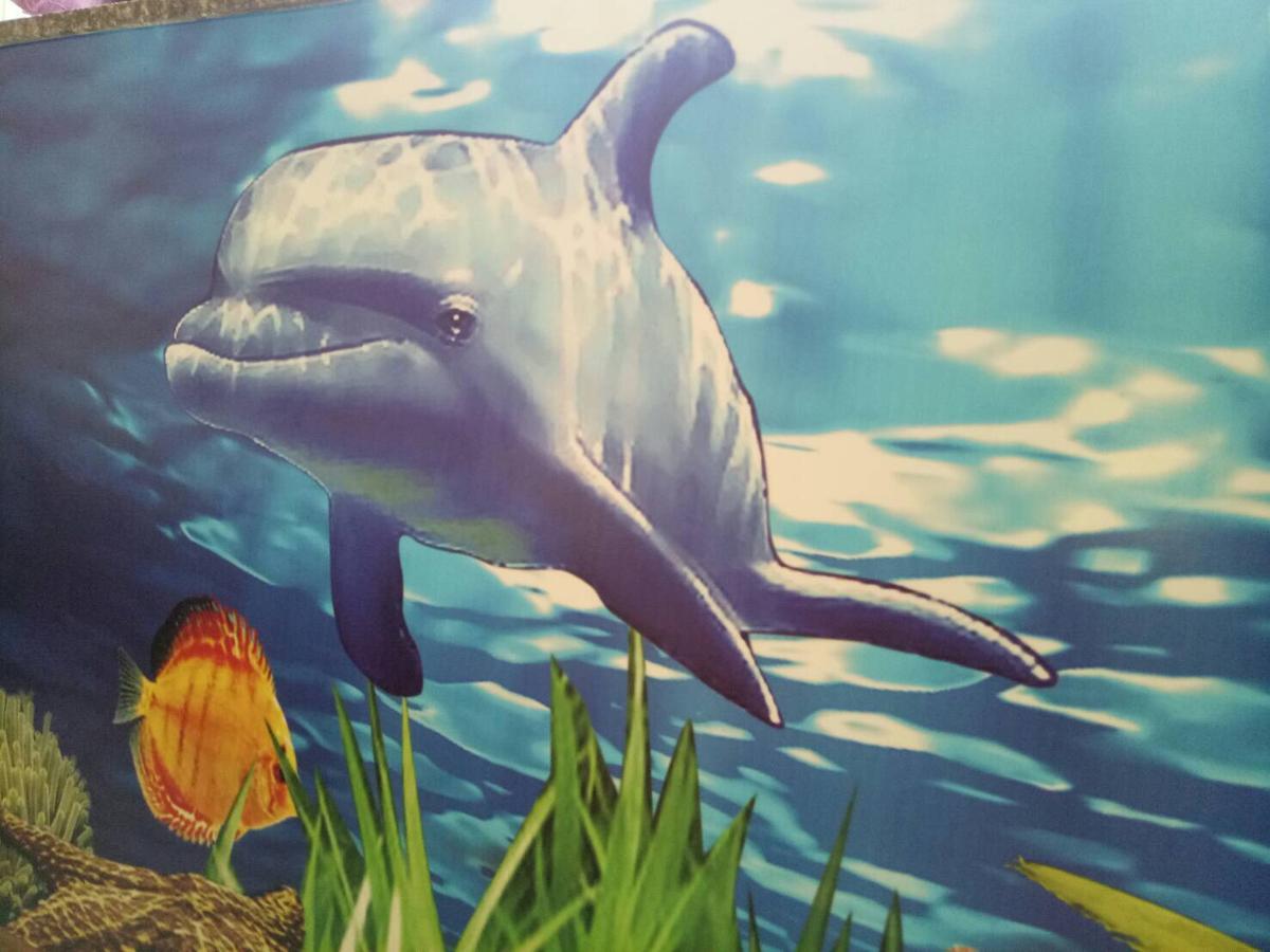 Dolphin Castle Bed and Breakfast Donggang Εξωτερικό φωτογραφία